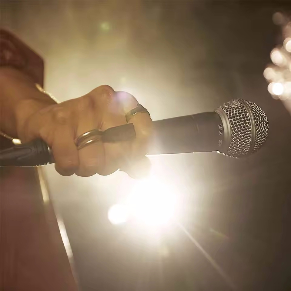 Mikrofon Dinamis Karaoke Mikro - Shure Mic Sm58 ulasan dan harga